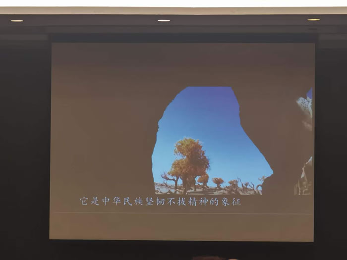 綿陽(yáng)中旅行假日旅行社舉行胡楊林、南疆專(zhuān)列推薦會(huì )